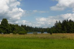 Erdschweinessen2016 (28)